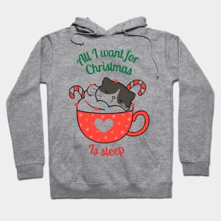 all i want for christmas is sleep cat Hoodie